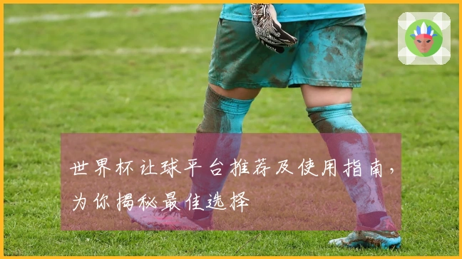 世界杯让球平台推荐及使用指南，为你揭秘最佳选择