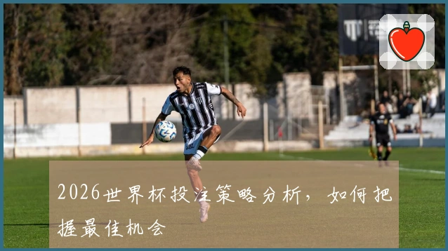 2026世界杯投注策略分析，如何把握最佳机会