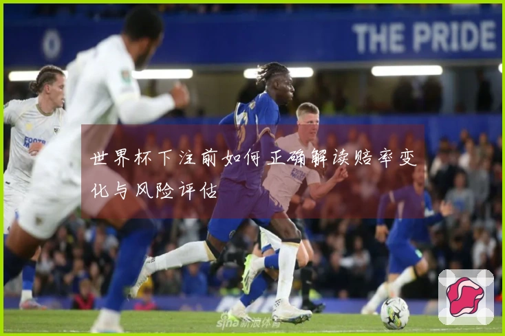 世界杯下注前如何正确解读赔率变化与风险评估