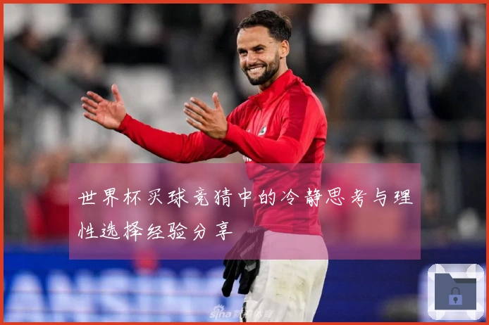 世界杯买球竞猜中的冷静思考与理性选择经验分享