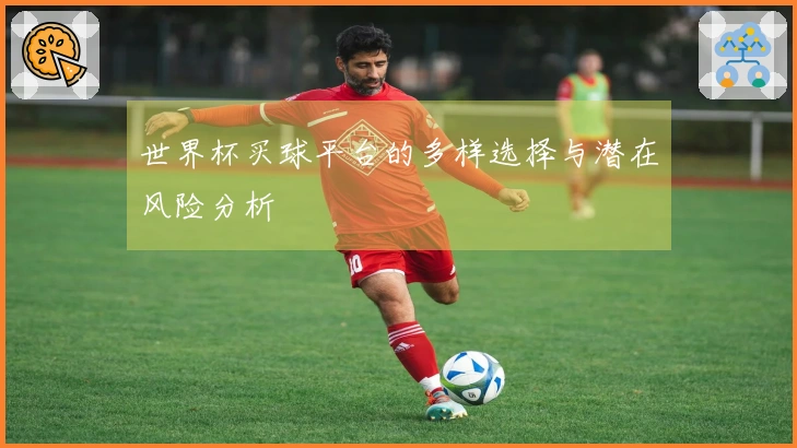 世界杯买球平台的多样选择与潜在风险分析