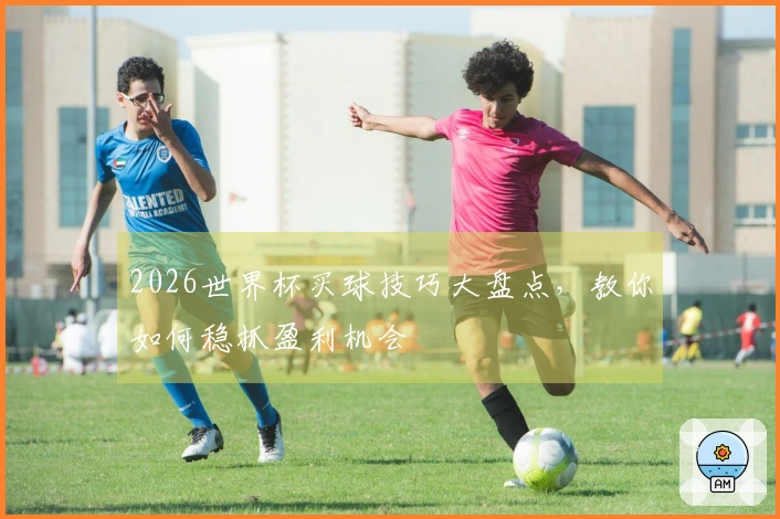 2026世界杯买球技巧大盘点，教你如何稳抓盈利机会