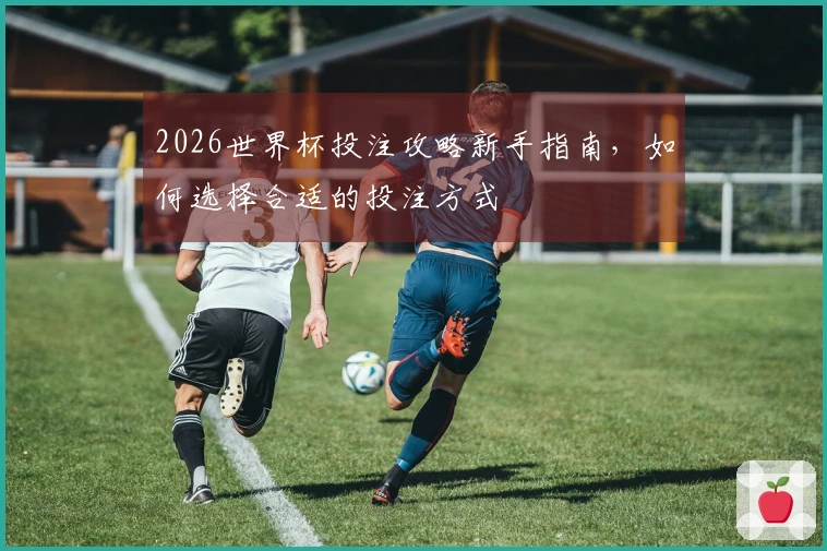 2026世界杯投注攻略新手指南，如何选择合适的投注方式