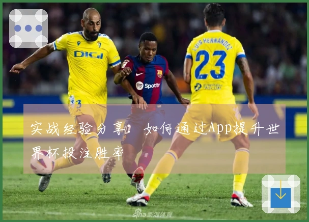 实战经验分享：如何通过App提升世界杯投注胜率