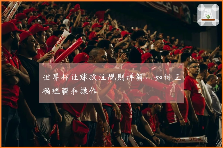 世界杯让球投注规则详解，如何正确理解和操作