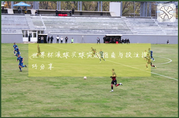 世界杯滚球买球实战指南与投注技巧分享