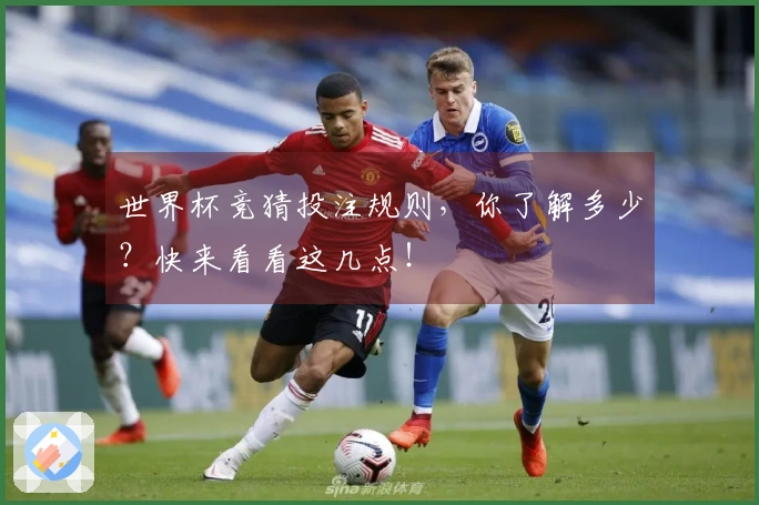 世界杯竞猜投注规则，你了解多少？快来看看这几点！