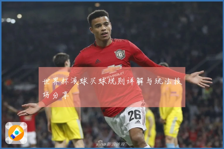 世界杯滚球买球规则详解与玩法技巧分享