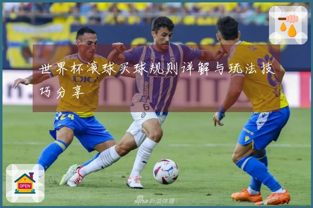 世界杯滚球买球规则详解与玩法技巧分享