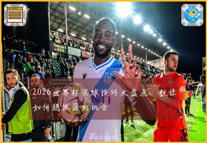 2026世界杯买球技巧大盘点，教你如何稳抓盈利机会