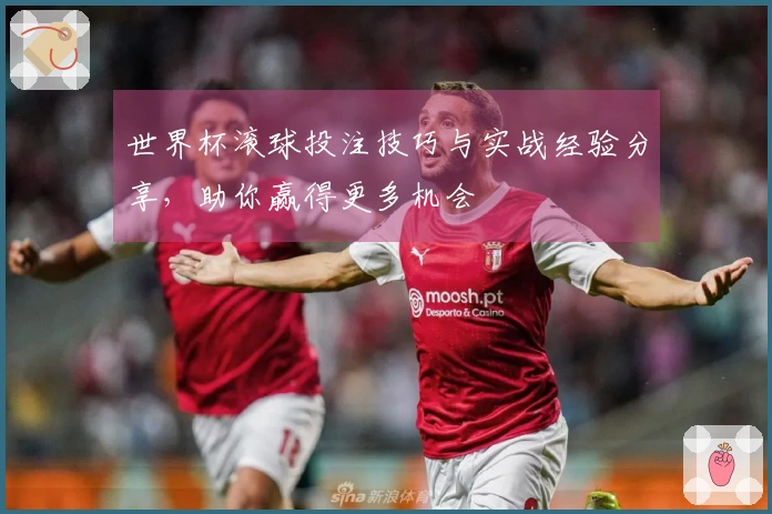 世界杯滚球投注技巧与实战经验分享，助你赢得更多机会