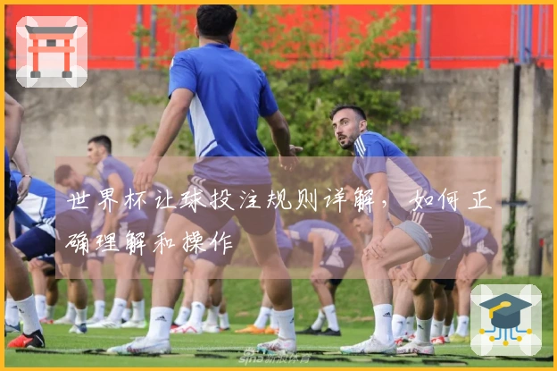 世界杯让球投注规则详解，如何正确理解和操作