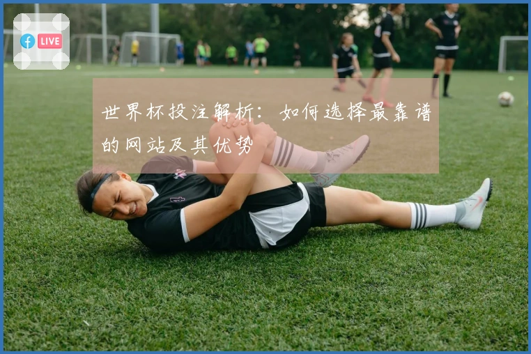 世界杯投注解析：如何选择最靠谱的网站及其优势