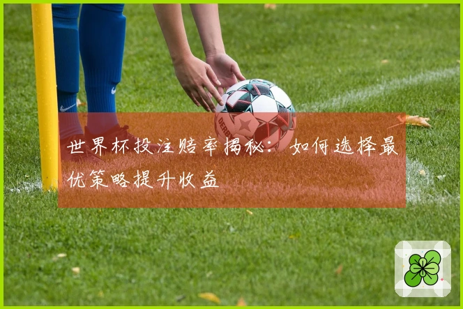 世界杯投注赔率揭秘：如何选择最优策略提升收益