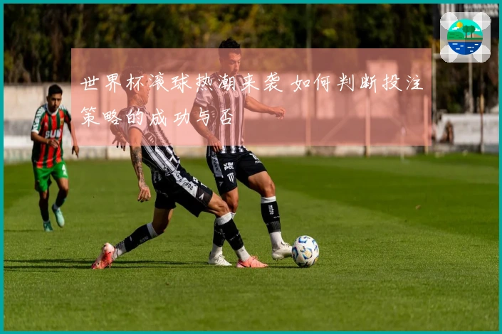 世界杯滚球热潮来袭 如何判断投注策略的成功与否
