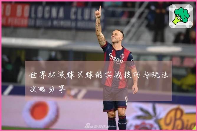 世界杯滚球买球的实战技巧与玩法攻略分享