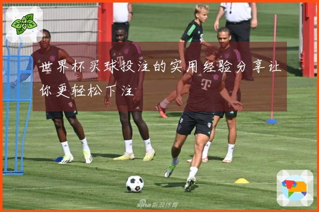 世界杯买球投注的实用经验分享让你更轻松下注