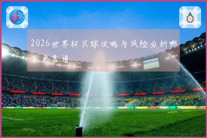 2026世界杯买球攻略与风险分析哪家更靠谱